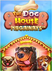 1xBet The Dog House slot oyunu ve kazanç fırsatları